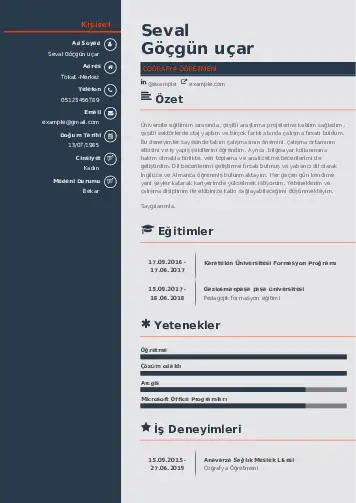 Coğrafya Öğretmeni CV Örnekleri cv indir